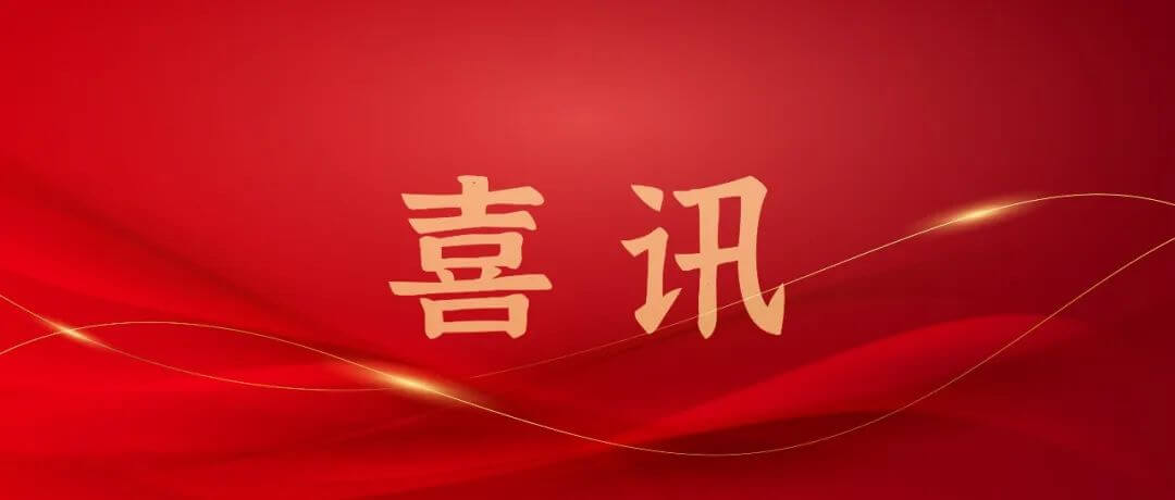 蝉联殊荣！杉岩数据通过国家级专精特新“小巨人”企业复核